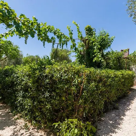 Vakantiehuis Casetta Oronzino *